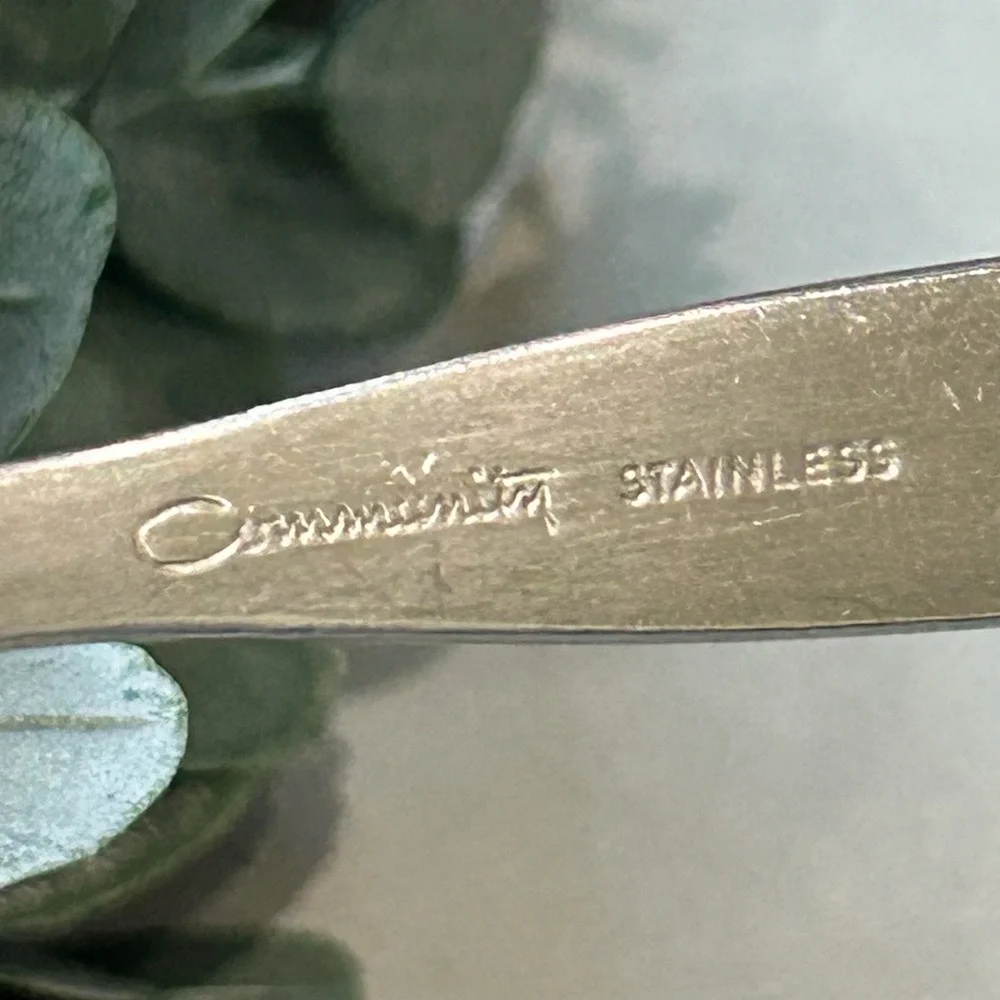 Oneida Community Frostfire Solid Serving Spoon Flatware‎ Piece